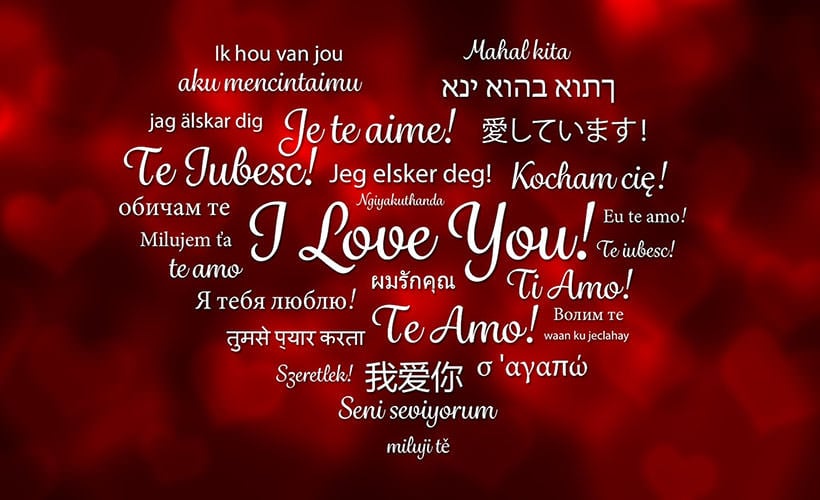 multi-language-website02